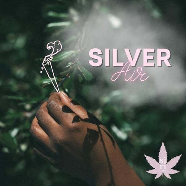 Cover art for Silver Air